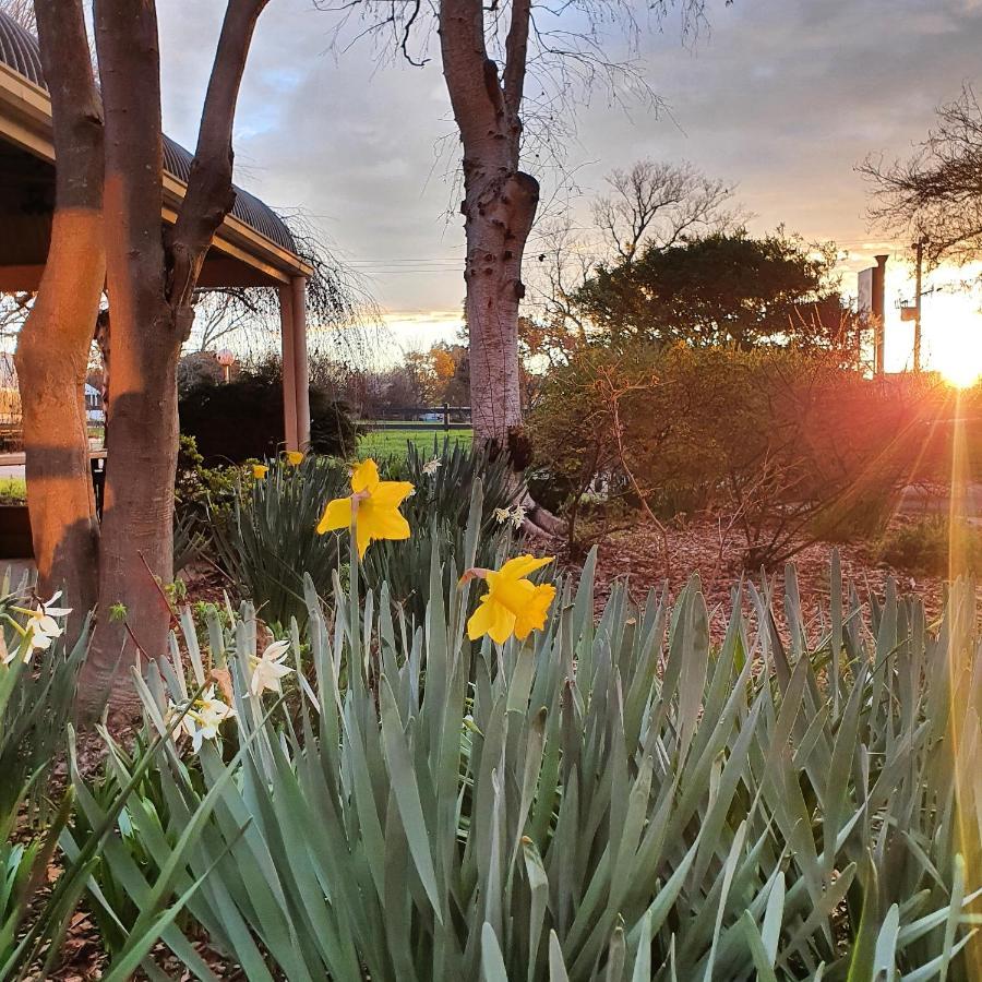 The Lancefield Lodge Lance Field ภายนอก รูปภาพ