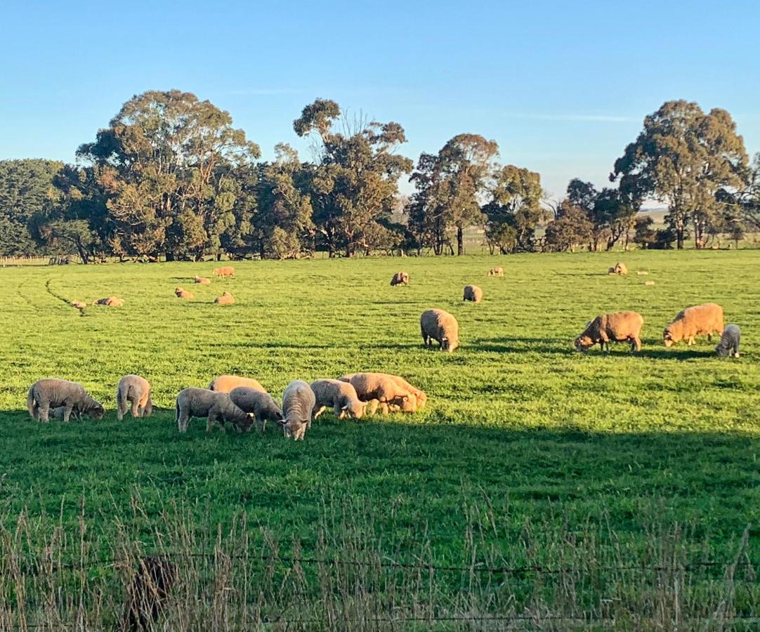 The Lancefield Lodge Lance Field ภายนอก รูปภาพ